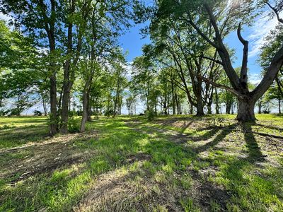 1971 County Road 1200 N, Sidney, IL, 61877