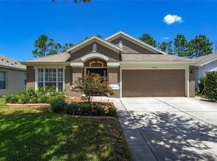 19623 Bellehurst Loop, Land O Lakes, FL 34638