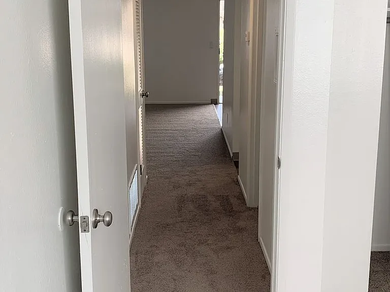 Shannon South Apartments — Photo 24
