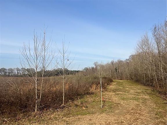 3rd image of 123 Sewer Pond Rd Lot 1
