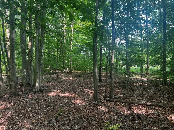 Yale Rd, Atwater, OH 44201