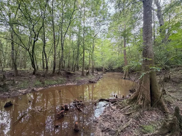 0 County Road 7735, Troy, AL 36081