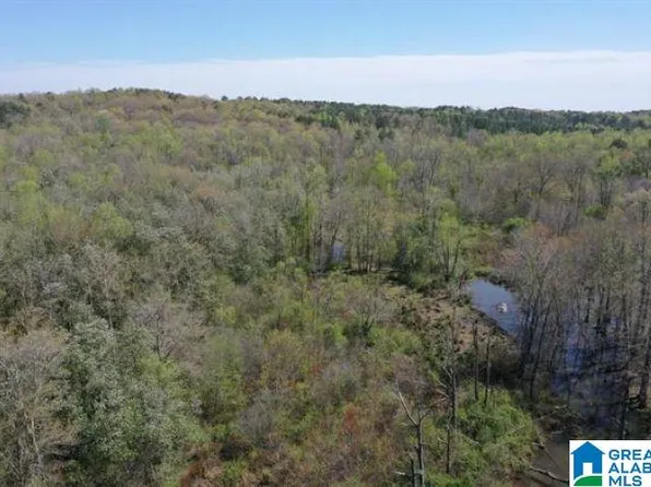 County Road 4700, Woodland, AL 36280