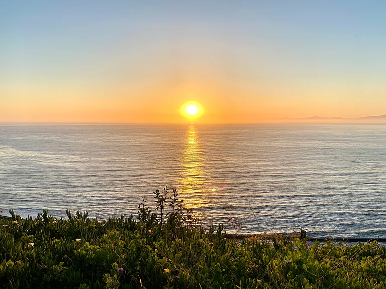 1115 Palos Verdes Dr — Photo 10