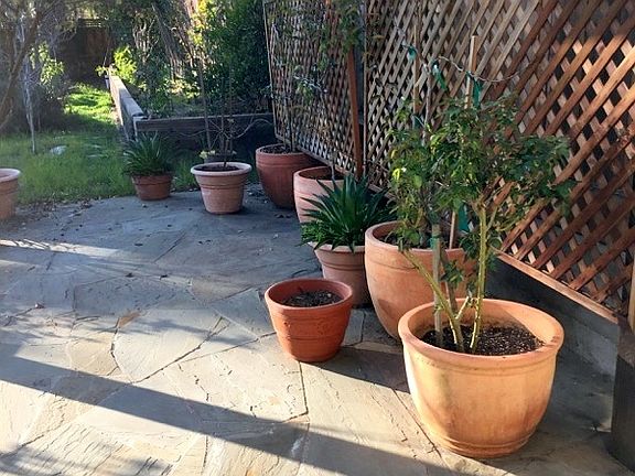 patio & garden