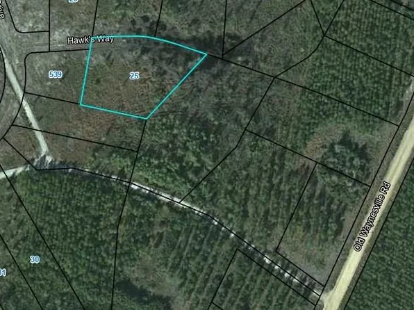 25 Hawks Way, Waynesville, GA 31566
