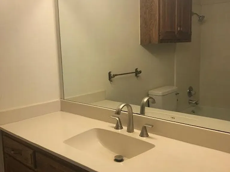 11906 Shady Trail Ln — Photo 15