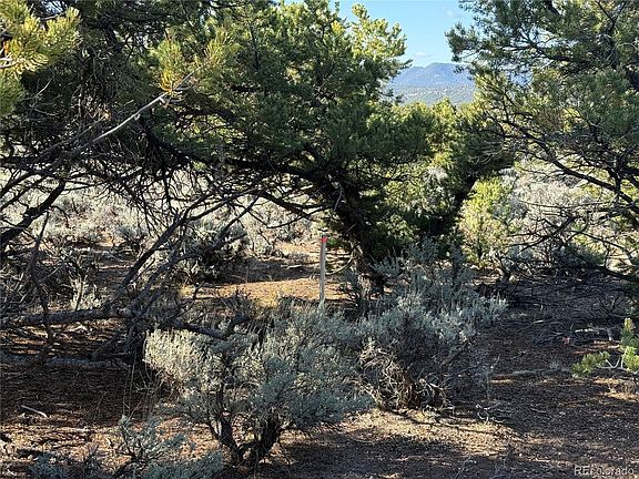 4th image of Lot 7067 Waligunda Road LOT 7067