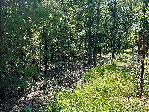 3rd image of Twisted Oaks Rd