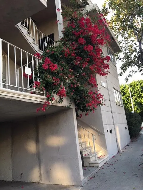 1 bed, 750 sqft, $2,395 — Photo 2