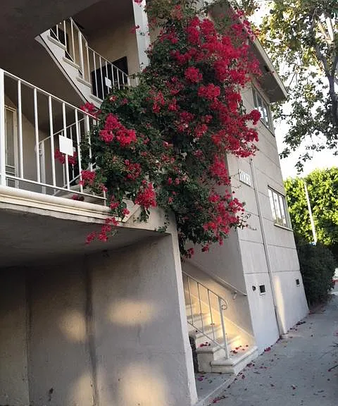 1173 N Curson Ave #9 — Photo 2