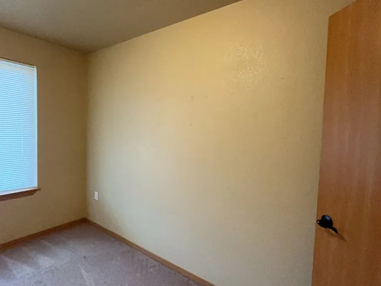 1647 Shindig Dr — Photo 17