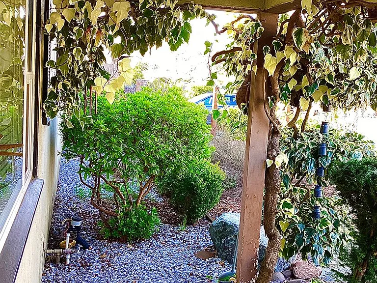 115 Terrace Dr — Photo 36
