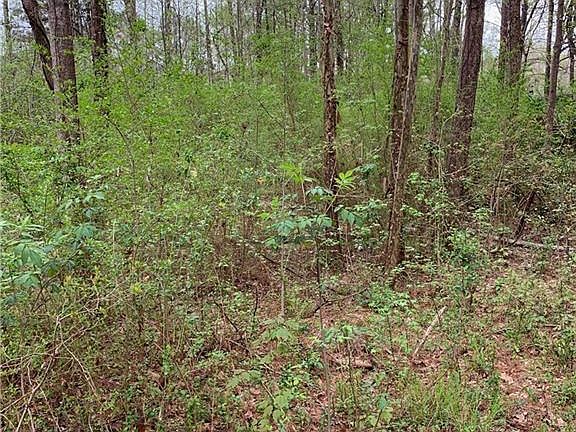 3rd image of 6883 Pawnee Trl SE Lot 50