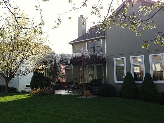 Back yard patio/arbor