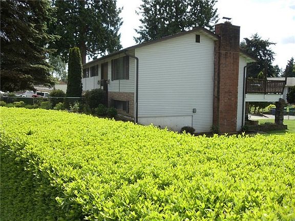 Lush well groomed hedge.