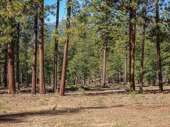 5th image of 10206 Quartz Valley Rd