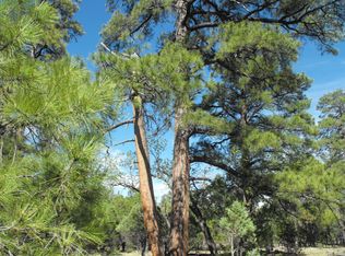5346 Stargazer Dr, Happy Jack, AZ 86024