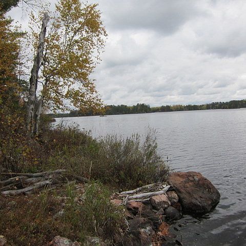 2nd image of Bear Island Lake - Lakeshore Lot