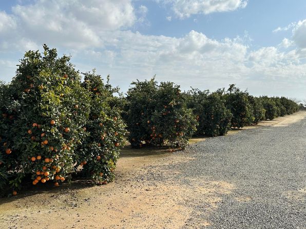  37 Acres Citrus Ranch, Terra Bella, CA 93270