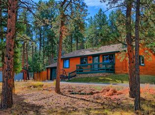 1602 Bluebird Dr, Bailey, CO 80421