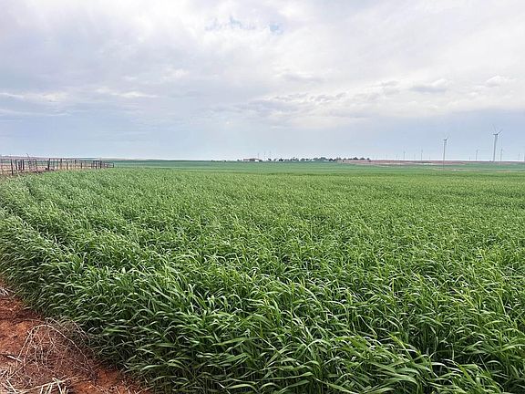 3rd image of 0 S Highway 54 Rd Tract 3