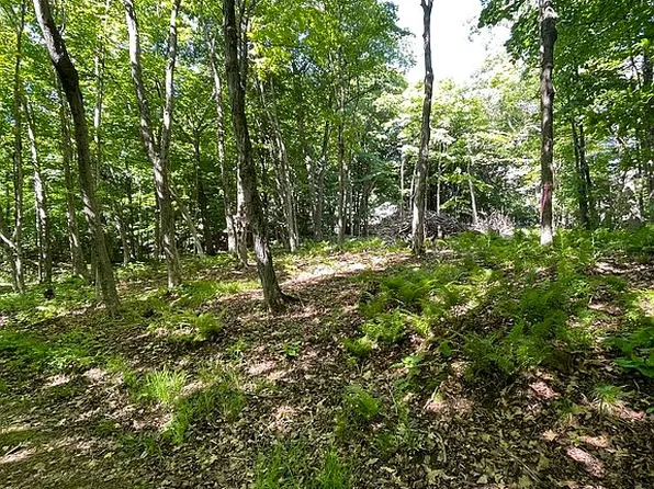 LOT Catherine St, Duluth, MN 55811