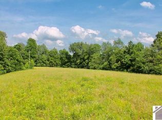 1000 Wray Rd, Wingo, KY 42088