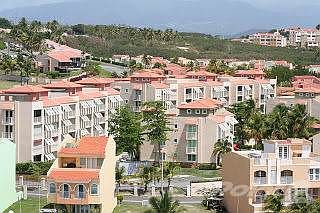 harbour point