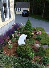 Perennial Garden
