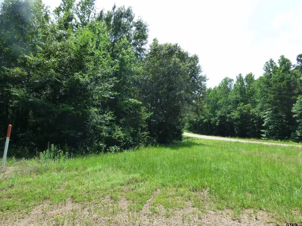 Cactus Rd, Pittsburg, TX 75686