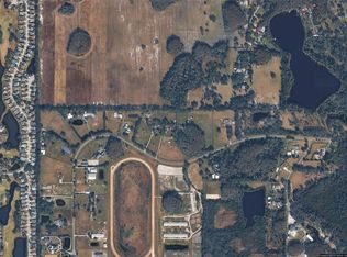 11519 Innfields Dr, Odessa, FL 33556