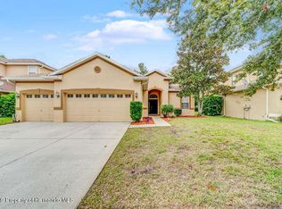 4697 Birchfield Loop, Spring Hill, FL 34609