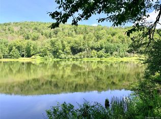Doyle Road, Roscoe, NY 12776