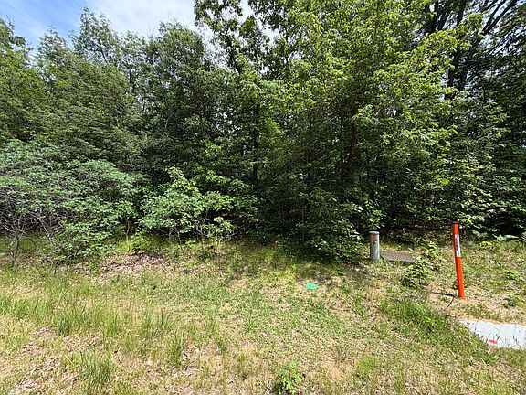 5th image of 10411 Cynthia Ln
