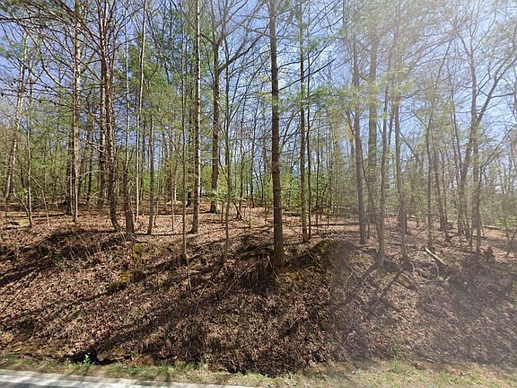 3rd image of 71 Herrington Rd