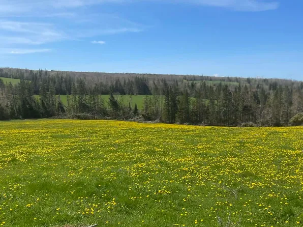 19521 Route 2, Greenvale, PE C0A 1N0