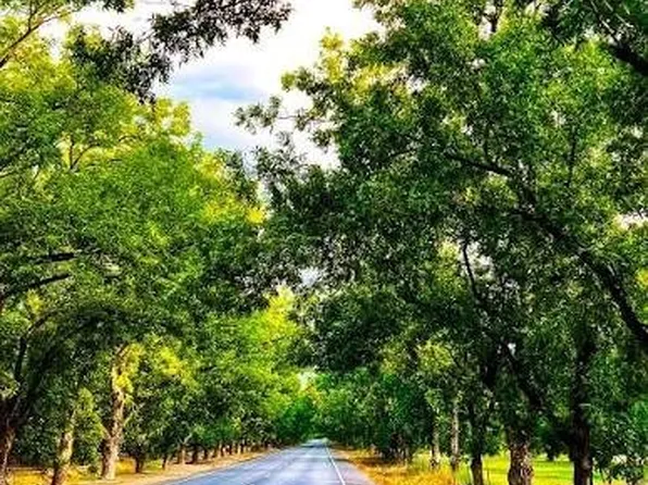2621 Silver Leaf Ln, Anna, TX 75409