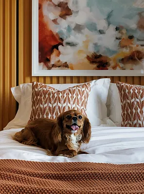 Rented by Related Rentals | media 6