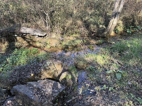 2nd image of TRACT 4 Kirkland Rd