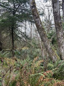 Greenleaf Rd, Arch Cape, OR, 97102