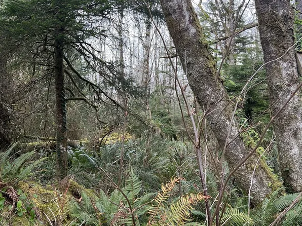 Greenleaf Rd, Arch Cape, OR 97102