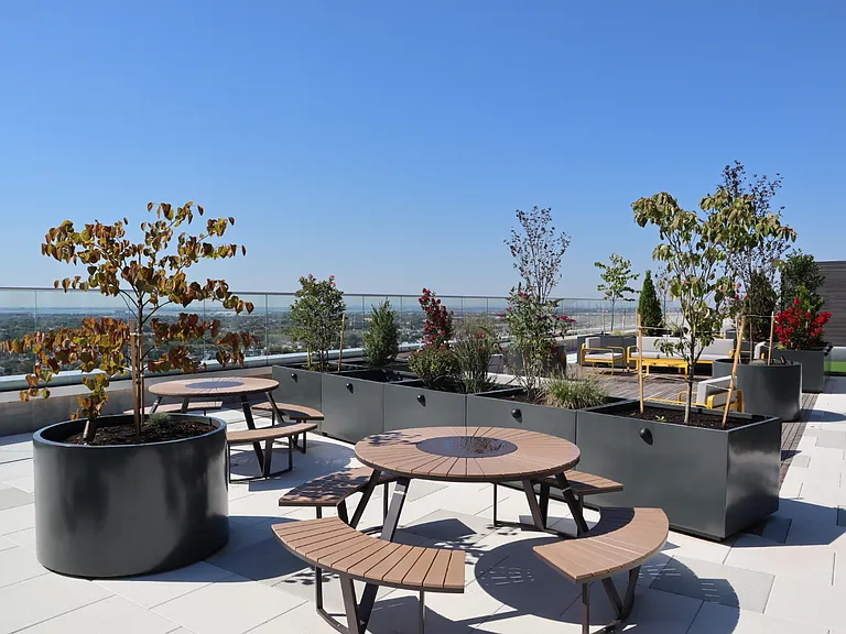 Alvista Rise — Photo 26