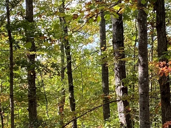 28 Mentink Way, Nebo, NC 28761