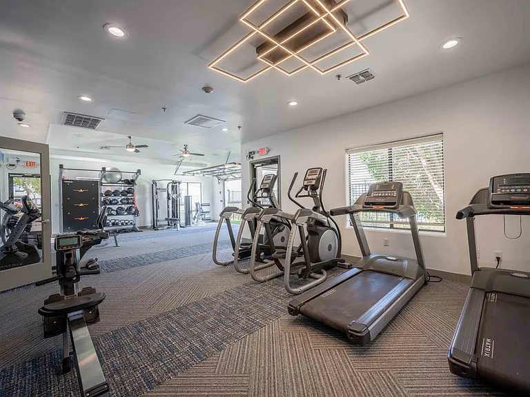 State-of-the-Art Cardio Equipment