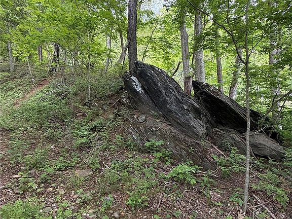 2nd image of TBD Ben Bolen Road