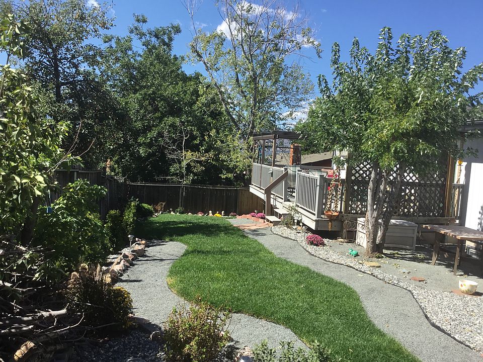 Newly landscaped back yard