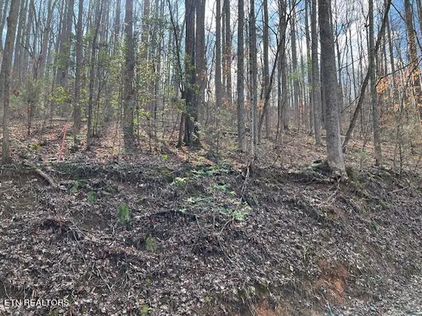 Grey Fox Run, Sevierville, TN 37862