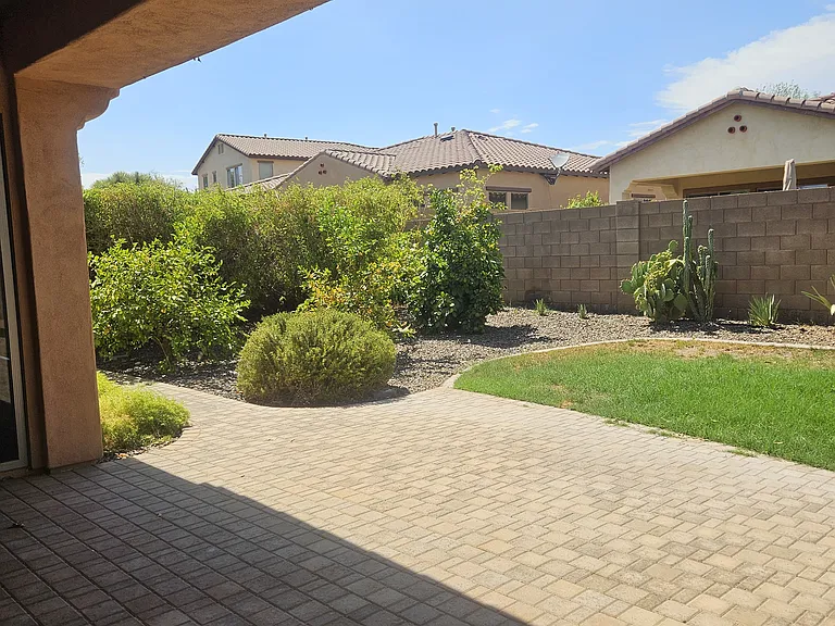 rear yard from patio