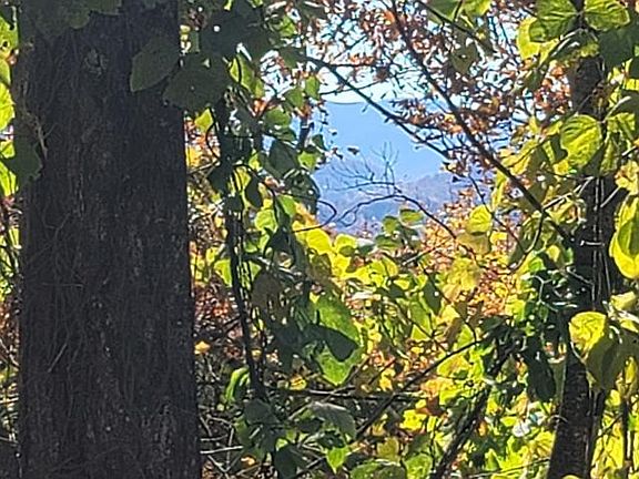 3rd image of 15 Wears Mountain Ln Lot 15